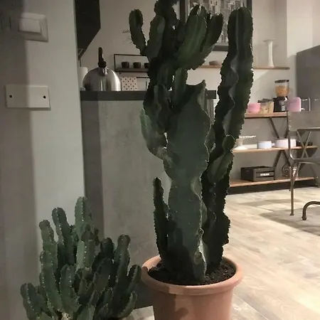 Pensjonat Industrial Chic House - Private Parking 3*