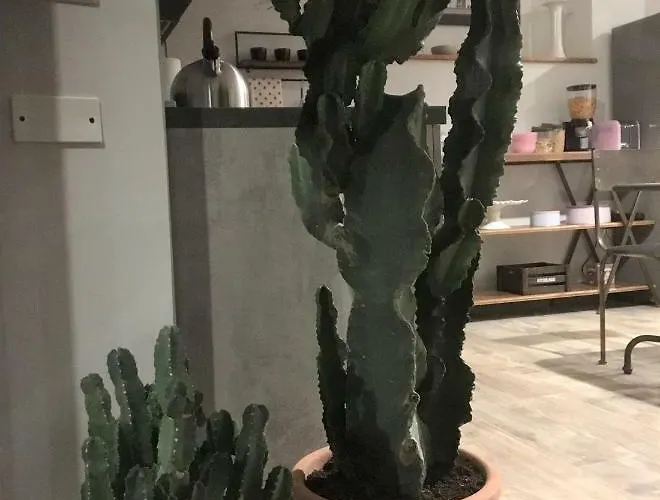 بيت ضيافة Industrial Chic House - Private Parking 3*